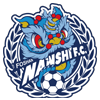 Foshan Nanshi FC