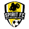NSW Spirit