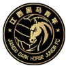 Wenzhou Professional FC