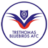 Trethomas Bluebirds